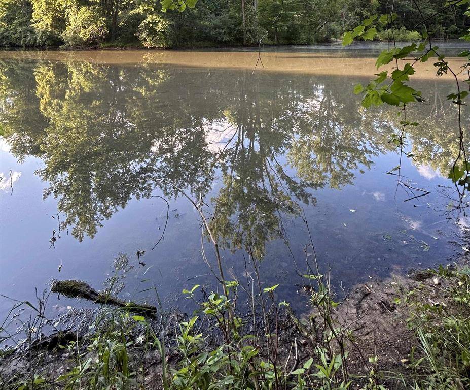 Churchill Twp, MI 48661,0 Whitetail Court Lot 165 Whitetail Court Lot: 165