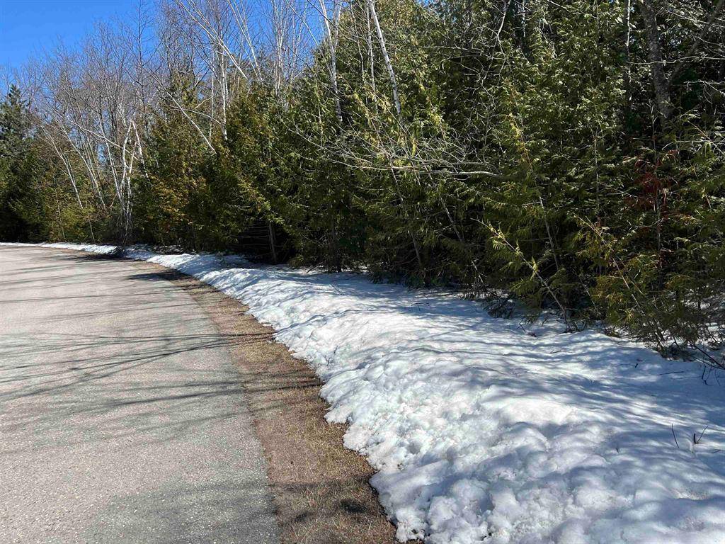 Presque Isle Twp, MI 49777,0 Clearwater Drive