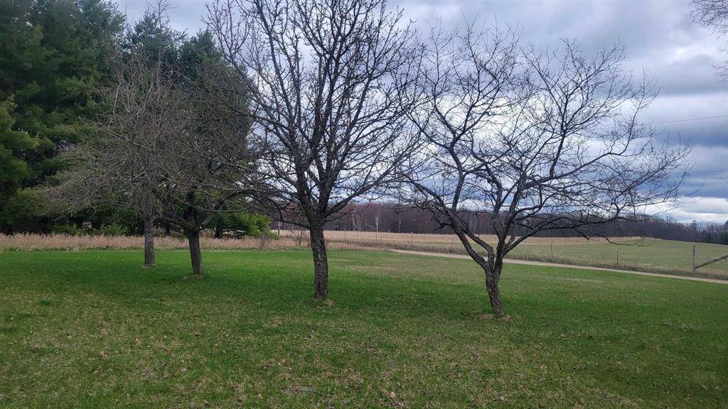 Curtis Twp, MI 48737,3330 Bell Road