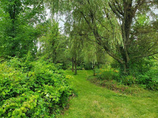 Hill Twp, MI 48635,3091 Sage Lake Road
