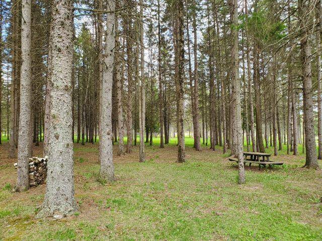 Bourret Twp, MI 48610,2220 M-30