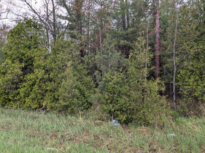 Oscoda Twp, MI 48750,00 US-23