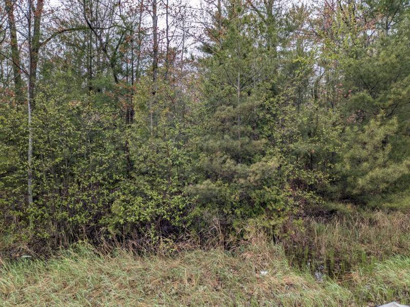 Oscoda Twp, MI 48750,00 US-23