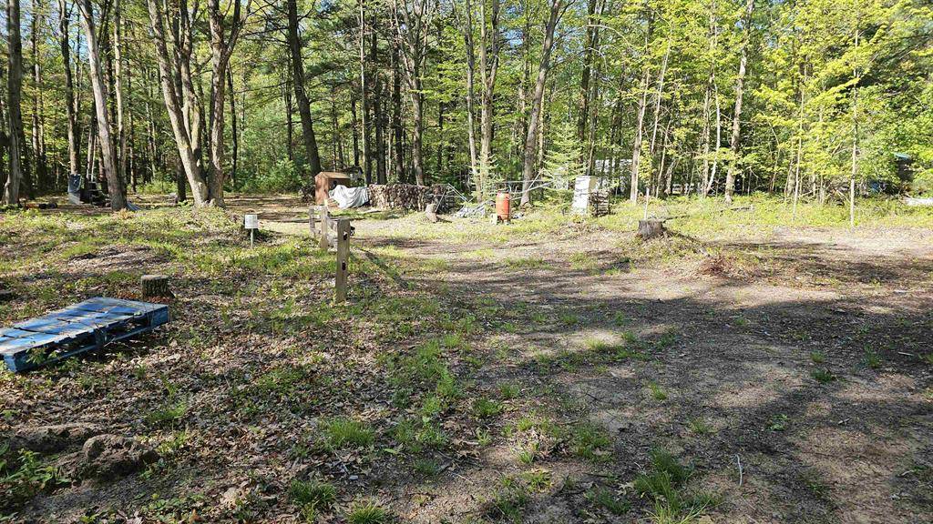 Mills Twp, MI 48756,5460 David Road
