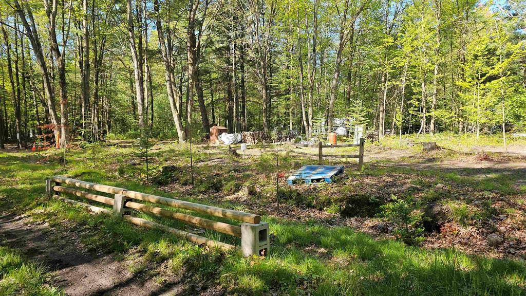 Mills Twp, MI 48756,5460 David Road