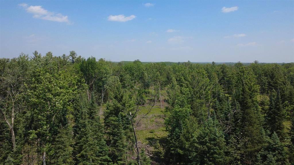 Churchill Twp, MI 48661,x Oleskie Trail