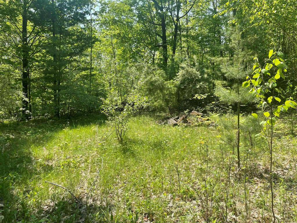 Rose Twp, MI 48654,5403 E Circle Drive