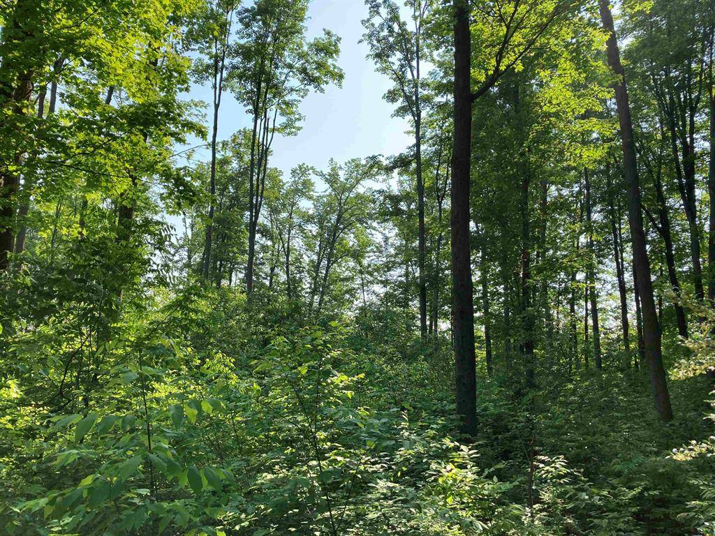 Rose Twp, MI 48654,N/A N M-33
