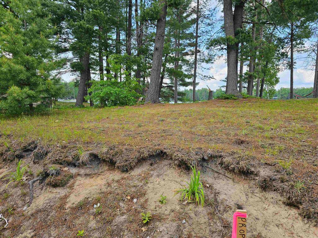 Plainfield Twp, MI 48761,lot 12 Paradise Drive Lot: 12