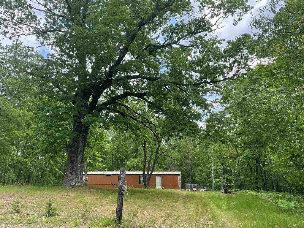 Mitchell Twp, MI 48705,1110 Alger Grade