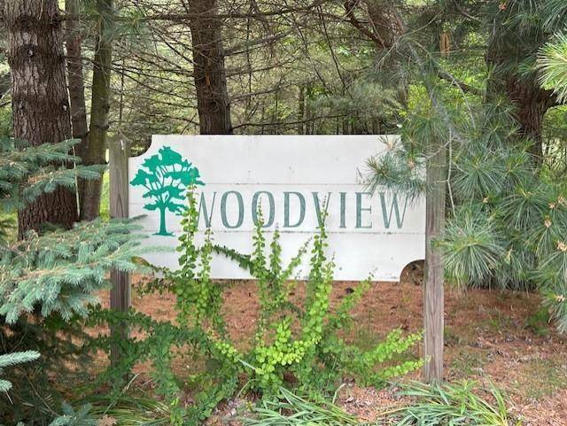 Baldwin Twp, MI 48730,00 Manning Lane Lot: 24