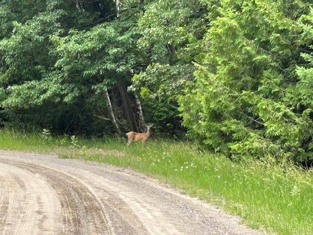 Oscoda Twp, MI 48750,00 Pine Tree Trail
