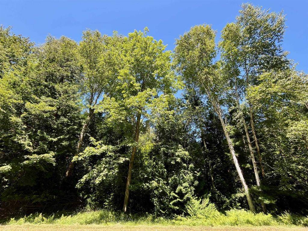 Oscoda Twp, MI 48750,0 Concord Lot: 131-32