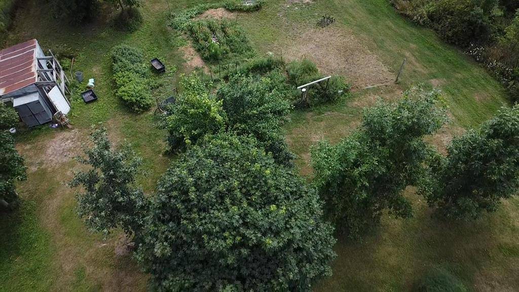 Sherman Twp, MI 48748,3605 Turtle Road