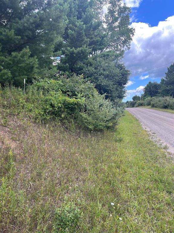 Burleigh Twp, MI 48770,00 Plant Road