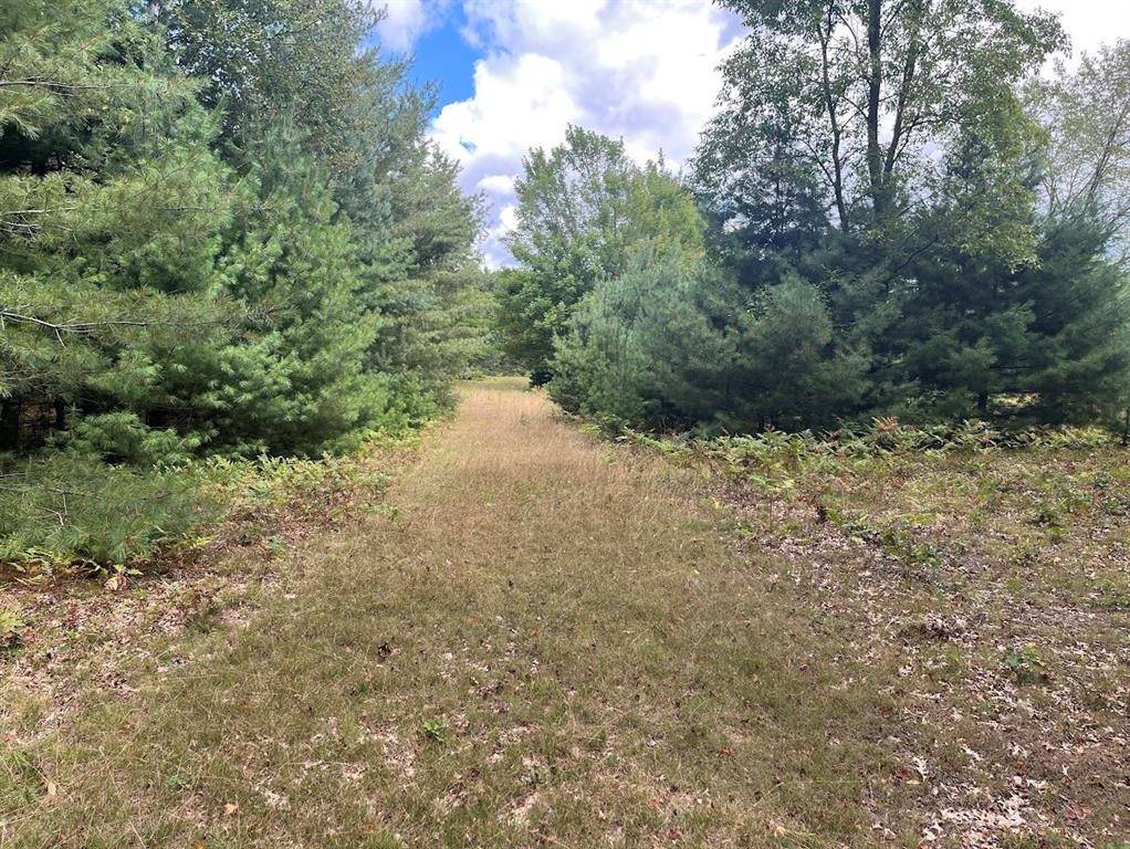 Burleigh Twp, MI 48770,00 Plant Road