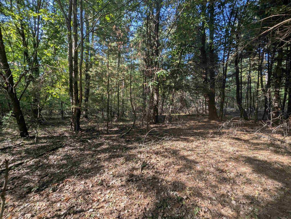 Moffatt Twp, MI 48610,N/A N Forest Lake Drive