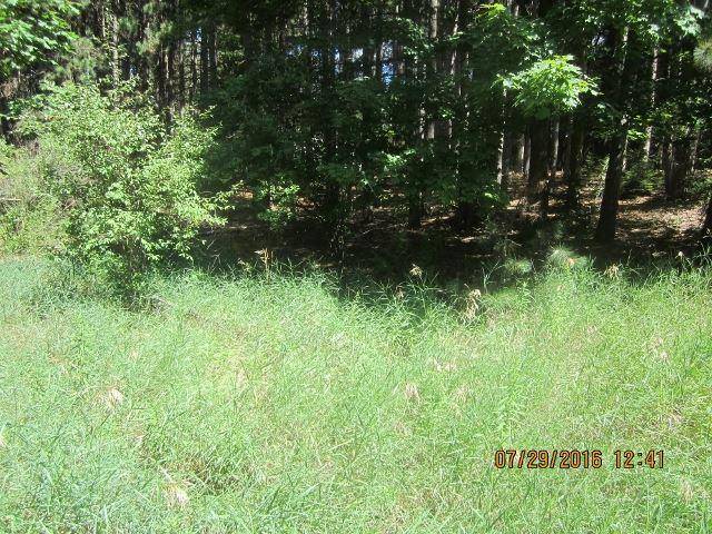 Forest Home Twp, MI 49615,5 Lynn Road Lot: 5