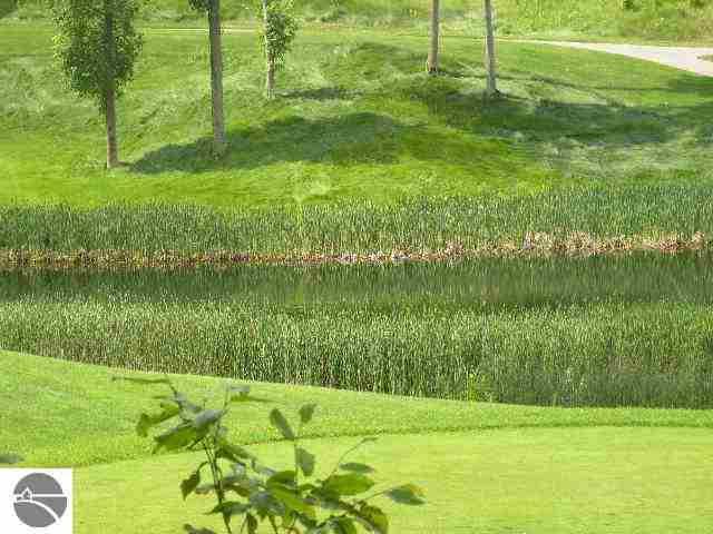 Kearney Twp, MI 49615,Lot 144 Falcons Spur