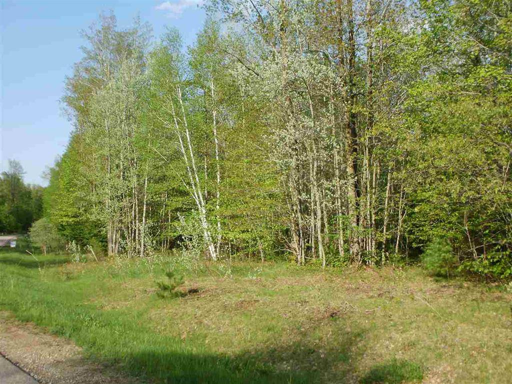 Selma Twp, MI 49601,Lot 11 Spring Valley Drive Lot: 11