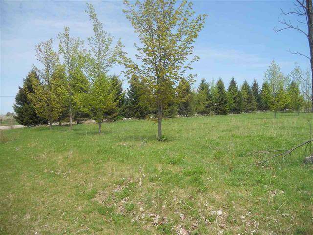 Milton Twp, MI 49648,Lot 18 McDermott Drive