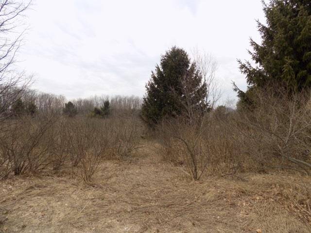 Centerville Twp, MI 49621,S Ski View Circle Lot: 10