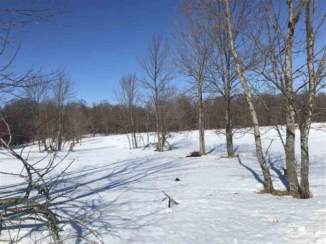 Empire Twp, MI 49630,S McClary Road Lot: 6