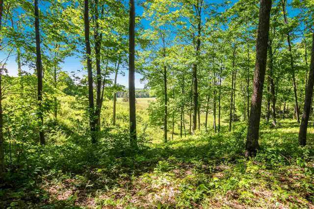 Homestead Twp, MI 49617,0011 Heather Ridge Trail