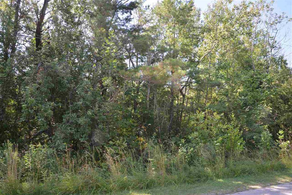 Elk Rapids Twp, MI 49629,00 Spruce Street Lot: 82