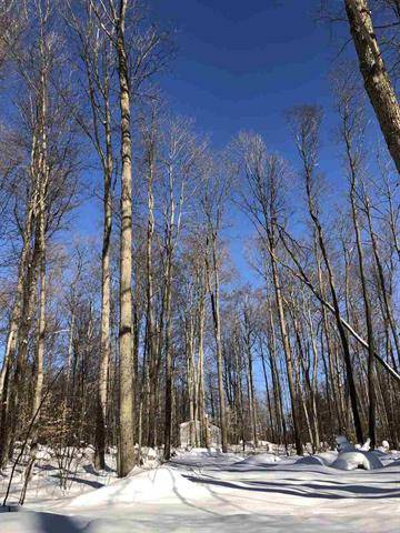 Selma Twp, MI 49601,Lot 29 Manistee Road