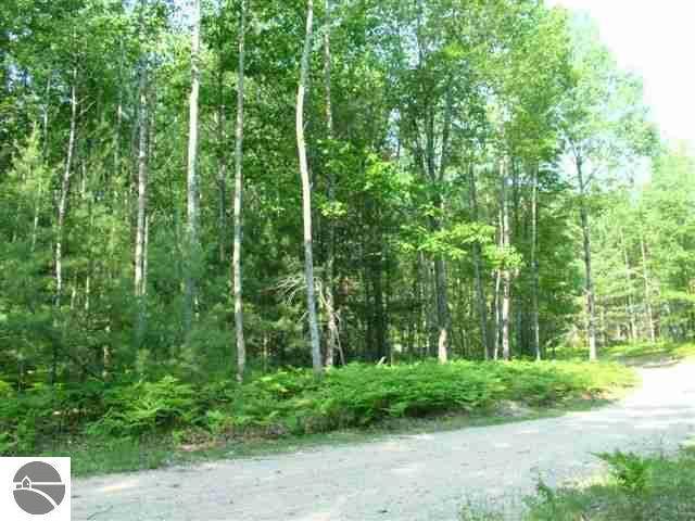 Bear Lake Twp, MI 49646,Rose Ridge Road Lot: G 2 A