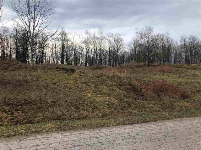 Grant Twp, MI 49637,Unit 25 Floreys Ranch Road Lot: 25