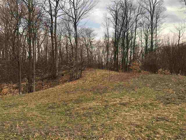 Grant Twp, MI 49637,Unit 13 Horton Creek Drive Lot: 13