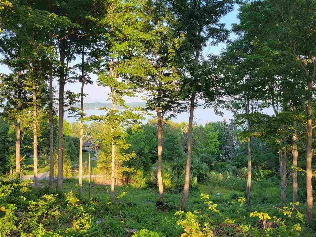 Milton Twp, MI 49676,Lot 6 Torch Hills Lot: 6