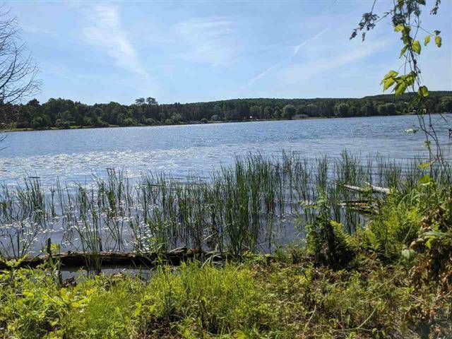 Central Lake Twp, MI 49622,Parcel 7-A Benway Lane