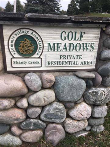 Kearney Twp, MI 49615,Golf Meadows Drive Lot: 22