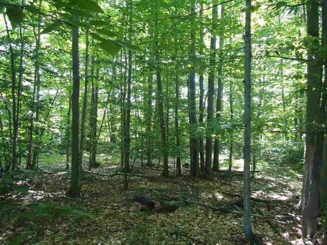 Torch Lake Twp, MI 49648,0000 Mooney Way Unit 9