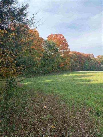 Kasson Twp, MI 49664,00 S Newman Road Lot: B