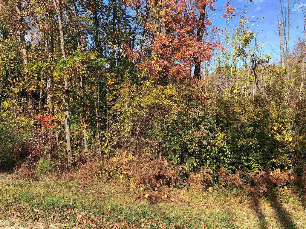 Torch Lake Twp, MI 49648,#26 Birchview