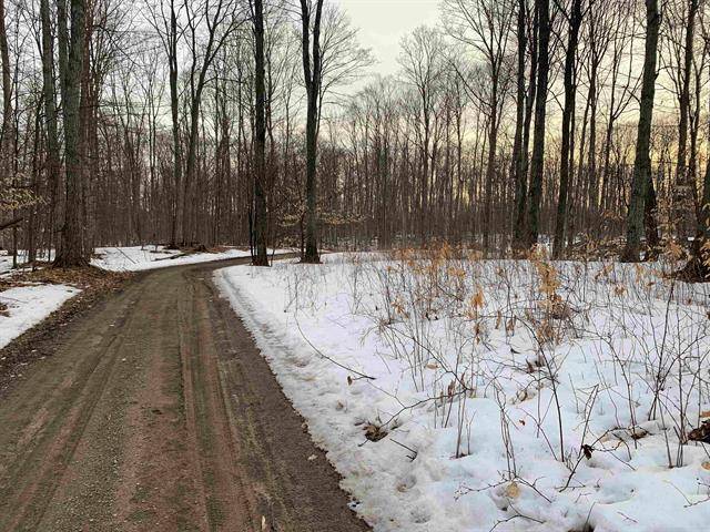 Kasson Twp, MI 49630,00 W Armstrong Lake Trail Lot: B-2