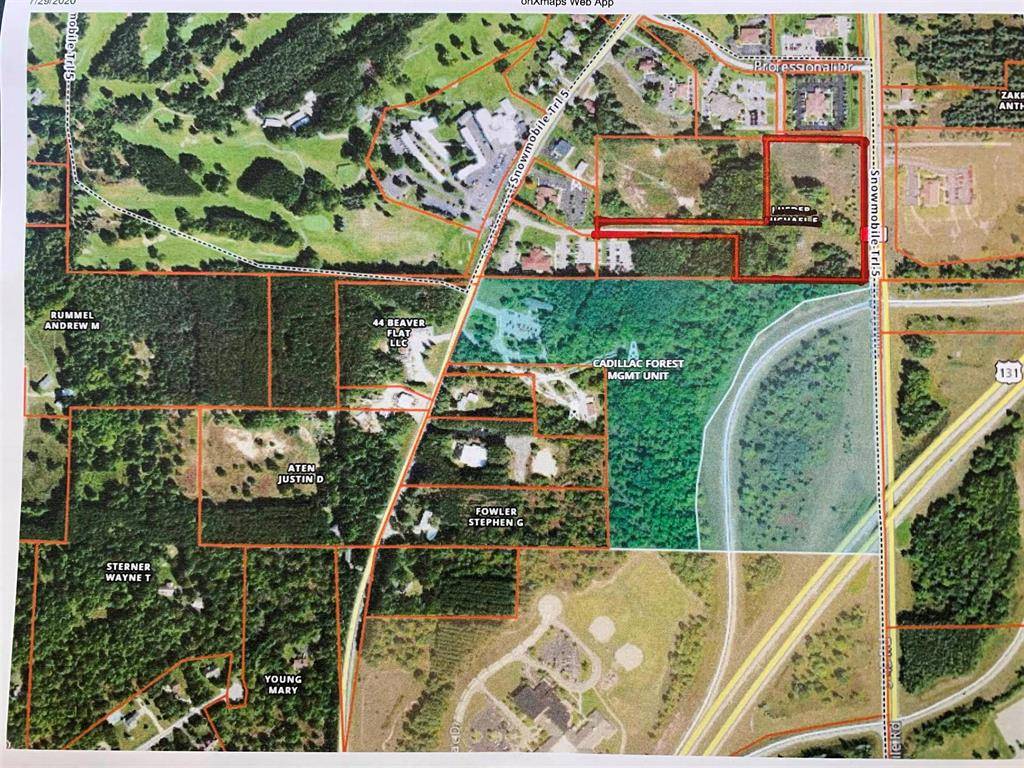 Clam Lake Twp, MI 49601,Parcel B Professional Drive