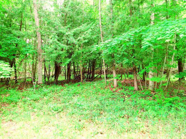 Green Lake Twp, MI 49637,Outer Drive Lot 20 Lot: 20