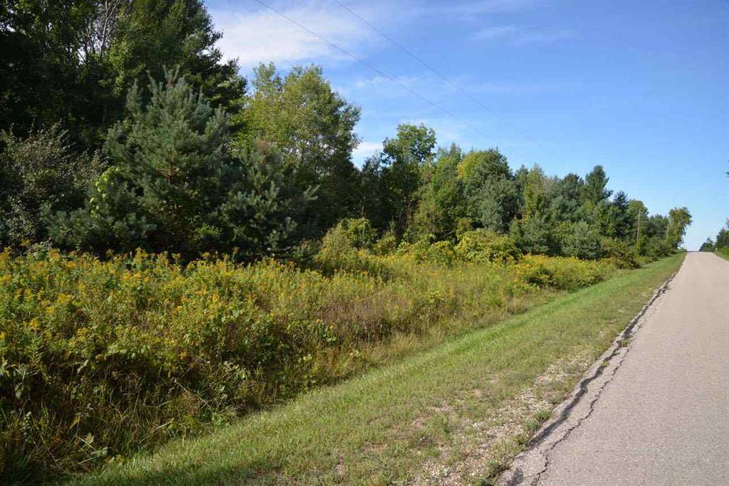 Milton Twp, MI 49676,00 Torch Hills Lane