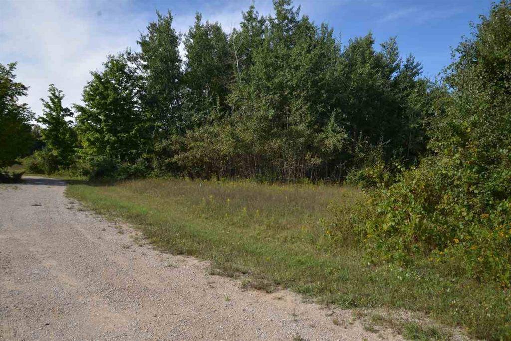 Milton Twp, MI 49676,00 Torch Hills Lane