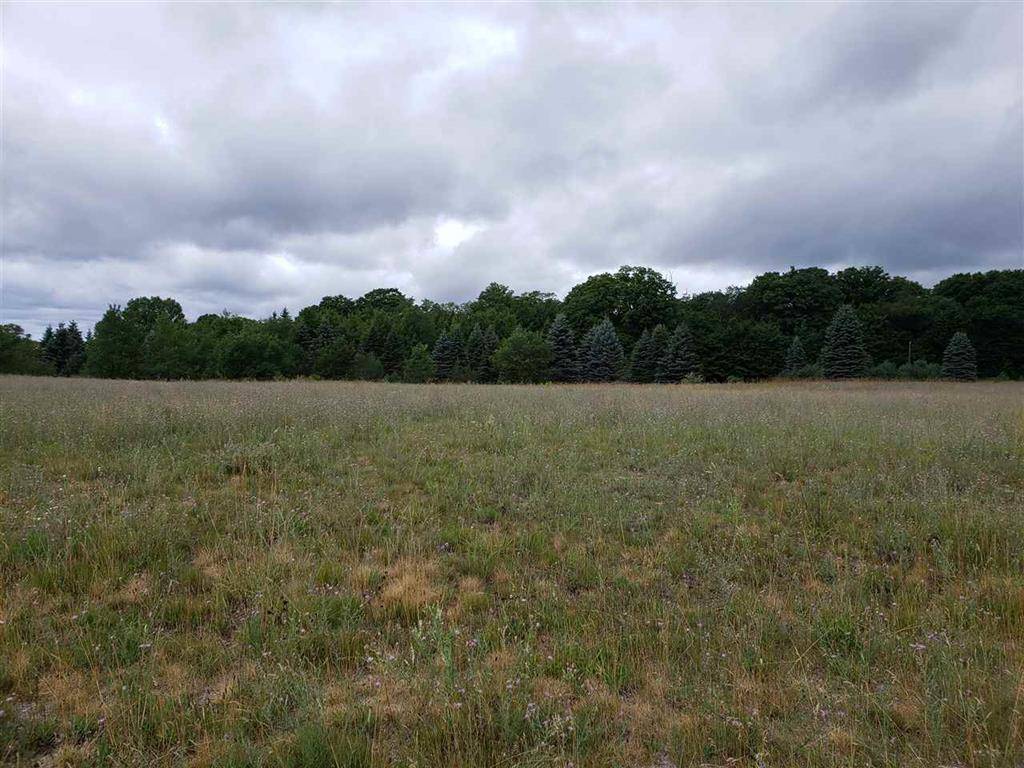 Blair Twp, MI 49637,000 S Silver Lake Crossings Boulevard