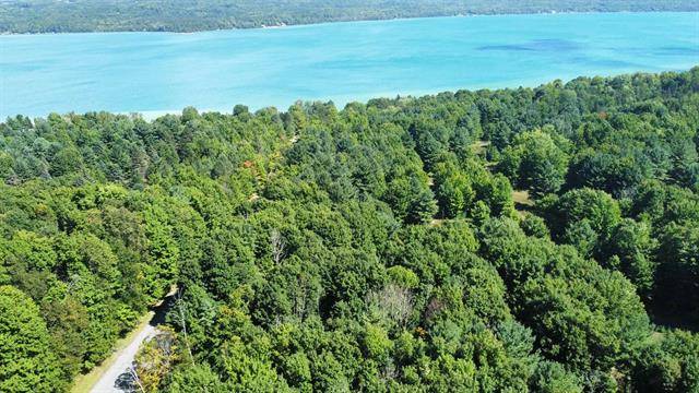 Torch Lake Twp, MI 49648,00 Kruger Road