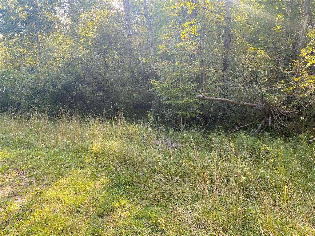 Evart Twp, MI 49631,Cowlitz Cove Lot: Multip