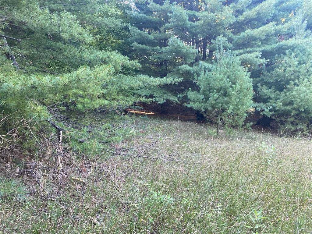 Evart Twp, MI 49631,Allegheny Trail Lot: Mult.