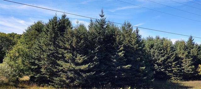 Fife Lake Twp, MI 49633,Fife Lake Road Tax ID # 04-002-011-30