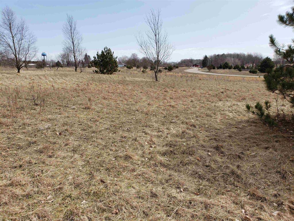 Hanover Twp, MI 49620,11348 Lakeshore